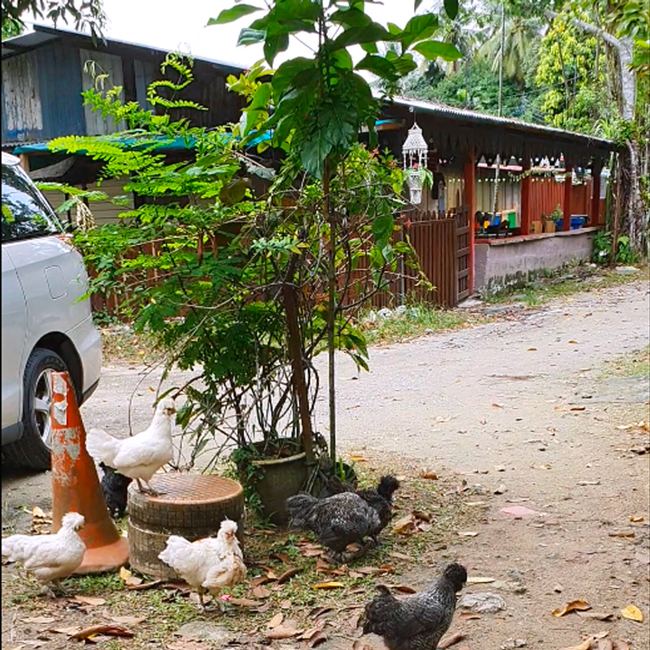 Kampong-Preschool