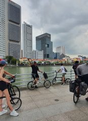 Tales of Four Quays