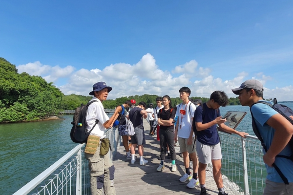 Chek Jawa Boardwalk Nature Tour