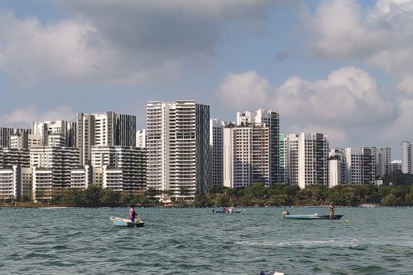 Coastal Boat Tour