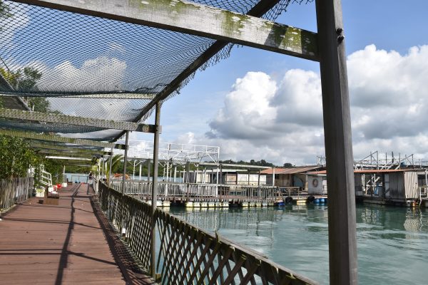 Singapore Boat Tour Kelong Visit