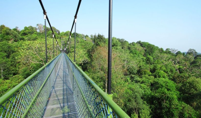 MacRitchie-Nature-Trail-1024x576