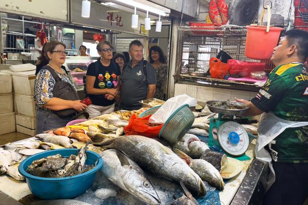 Market to Table Culinary Tour Experience