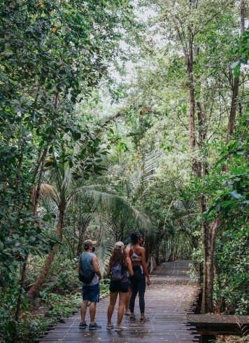 Chek Jawa Boardwalk Nature Tour