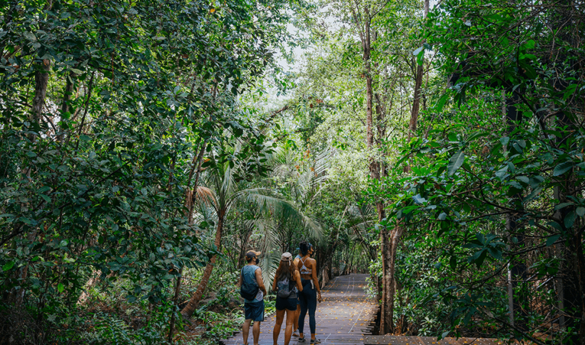 bukit-timah-nature-reserve