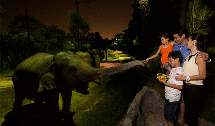 Singapore Night Safari — the world's first nocturnal wildlife park