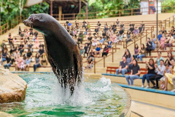 singapore-zoo